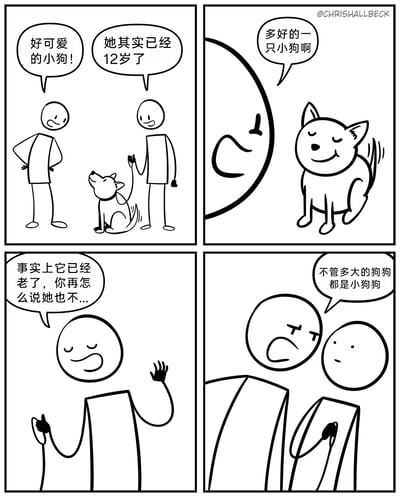这是一幅四格火柴人漫画，讲述了一个温馨又搞笑的日常小场景：第一格中，路人看到牵狗人的狗狗，开心地夸赞“好可爱的小狗！”，牵狗人告知狗狗已经12岁了；第二格中，路人凑近狗狗，依旧笑着说“多好的一只小狗啊”；第三格中，牵狗人无奈地摆手，试图纠正路人，称“事实上它已经老了，你再怎么说她也不...”；第四格中，路人严肃地打断牵狗人，坚定地反驳道“不管多大的狗狗都是小狗狗”，让牵狗人瞬间语塞，露出气恼又无奈的表情，传递出爱狗人对狗狗的温柔执念。