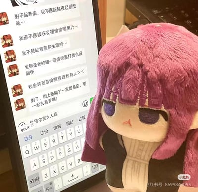这是一张结合了动漫《葬送的芙莉莲》角色的二次创作梗图：手机屏幕上是模拟角色辛美尔语气发送的一连串道歉消息，内容包括为熬夜起晚、夜里偷喝果汁的行为道歉，卑微表示愿意等菲伦消气，还提议一起去新开的甜品店求和；旁边摆放着菲伦的同人毛绒玩偶，玩偶一脸冷漠的表情，正好对应了聊天记录里正在生气、不愿理人的菲伦，形成了辛美尔的卑微讨好与菲伦的冷漠无视的有趣反差，没有双关或谐音梗，是玩角色互动的反差感。