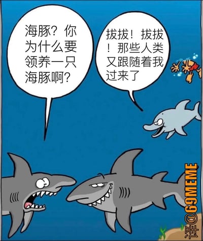 这是一张漫画风格的梗图，画面下方有两只鲨鱼在对话，右边还有一只海豚和一名被“捞”起来的人类。左边的鲨鱼问：“海豚？你为什么要领养一只海豚啊？”右边的鲨鱼回答：“拔拔！拔拔！那些人类又跟着我过来了”，而被“捞”起来的那个人像是在游泳。该图巧妙利用了“海豚”和“孩（海）豚（吞）”的谐音梗，调侃人类喜欢称呼海豚为“海猪”，形成了幽默效果。漫画结构简洁，诙谐气氛浓郁。重点是“养海豚=养小孩”与“人类喜欢跟着海豚游”的网络现象结合的社会评论，更加凸显图中的双关、谐音和讽刺梗的内涵。