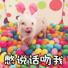 戴兔子耳朵的小猪：憋说话吻我