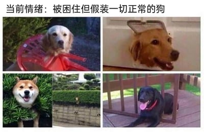 暂无描述