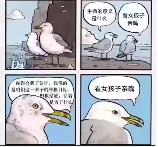 国外原创卡通梗图