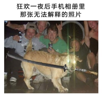 这是一张充满荒诞感的搞笑梗图，画面展示了一群年轻人狂欢聚会后的场景：他们手持啤酒，神态兴奋夸张，摆出搞怪的姿势，看起来喝得十分尽兴。而画面最前方的狗狗被P上了一把武士刀，加上闪光灯拍摄导致的眼睛反光效果，让狗狗看起来如同“自带发光眼的武士狗”，整体画面混乱又怪异，完美契合了顶部文案“狂欢一夜后手机相册里那张无法解释的照片”的描述，精准调侃了人们在宿醉断片后，看到聚会时拍下的奇怪照片时的迷惑与尴尬心情。