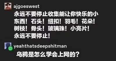 这是一张深色背景的社交媒体截图，包含两条用户评论。上方用户“ajgoeswest”以感叹句强调“永远不要停止收集能让你快乐的小东西”，并列举了石头、纽扣、羽毛等具体物品，传递积极收集生活小确幸的理念；下方用户“yeahthatsshitman”则以幽默口吻提问“乌鸦是怎么学会上网的？”，形成轻松有趣的内容对比。