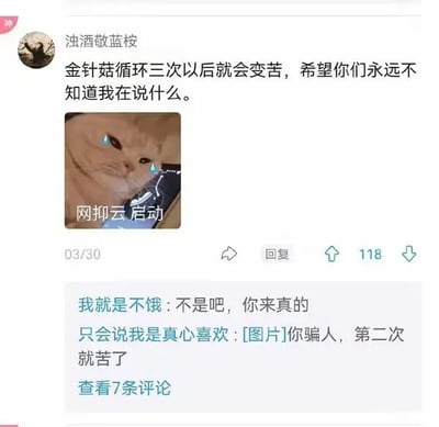 社交媒体截图中，用户'浊酒敬蓝桉'发布文案'金针菇循环三次以后就会变苦，希望你们永远不知道我在说什么'，配图为一只猫咪照片，图片上标注'网抑云启动'。下方有其他用户评论互动，如'不是吧，你来真的'和质疑'你骗人，第二次就苦了'，整体呈现一种带有隐晦玩笑和'网抑云'梗（调侃网易云音乐忧郁评论文化）的社交互动场景。