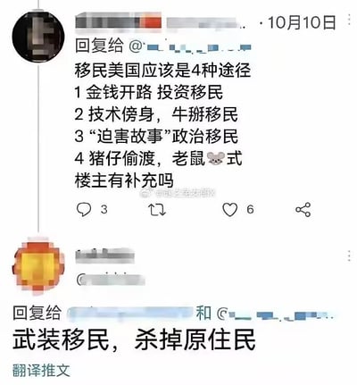 这是一张社交媒体评论区的截图，上方用户以列举的方式提出了四种移民美国的途径，分别是依靠资金的投资移民、凭借专业技能的技术移民、编造相关故事的政治移民，以及偷渡的方式，同时询问楼主是否有补充内容；下方用户则回复了一句极具讽刺性的“武装移民，杀掉原住民”，用反讽的方式对移民相关的讨论做出回应，内容带有调侃意味。