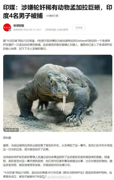 这是一张环球时报官方账号发布的新闻截图，标题为"印媒：涉嫌轮奸稀有动物孟加拉巨蜥，印度4名男子被捕"。内容报道了4名印度猎人因涉嫌在老虎保护区强奸一只孟加拉巨蜥而被捕的事件，文中提到被告手机中发现相关行为记录，孟加拉巨蜥是印度受保护物种，若罪名成立被告可能面临7年监禁。配图为一只伸出舌头的孟加拉巨蜥照片，整体为图文混排的竖版新闻页面。
