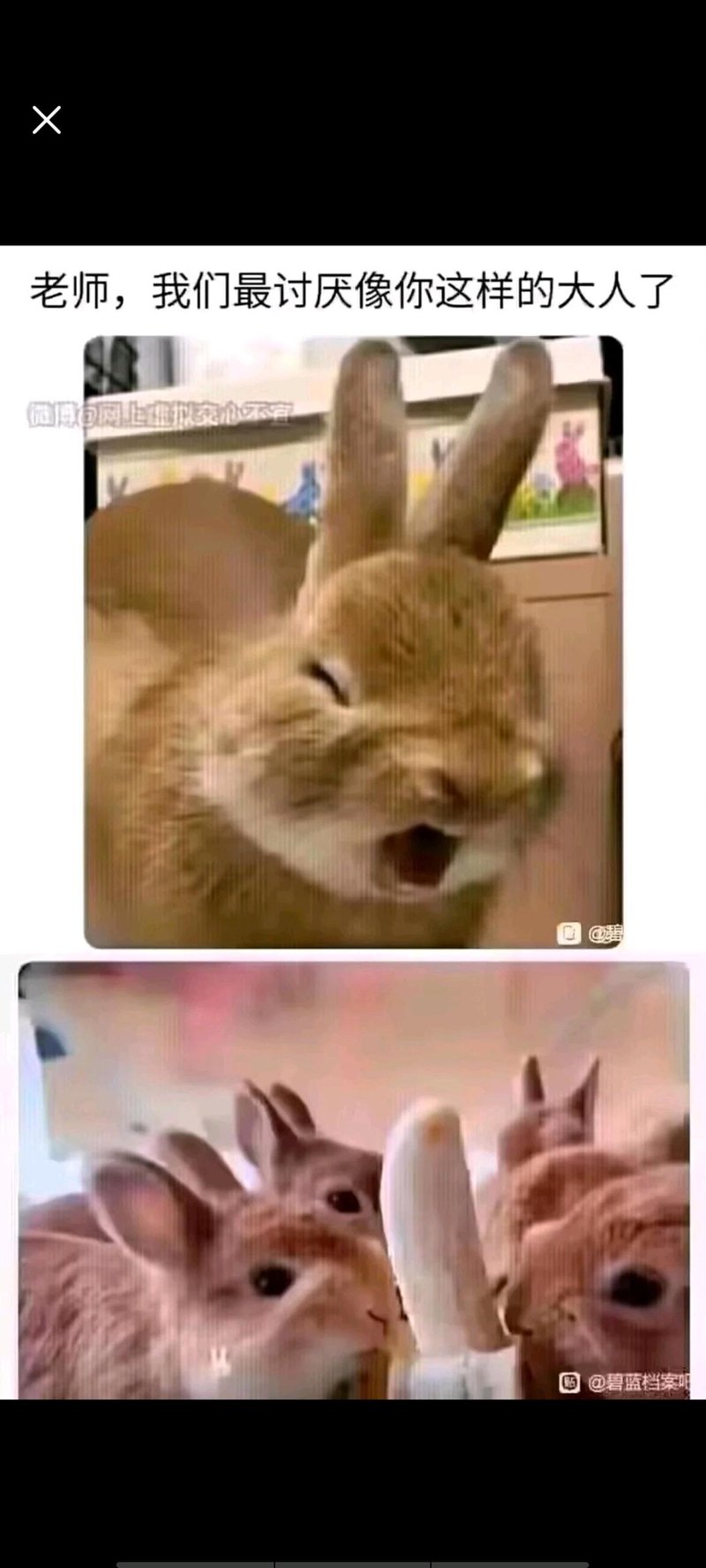 《比得兔》