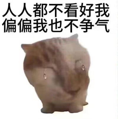 图片上方为黑色加粗文字“人人都不看好我 偏偏我也不争气”，下方是一个模糊的棕色猫咪形象，猫咪眼睛较大，表情显得有些无奈和呆萌。整体呈现出一种自嘲的幽默氛围，通过文字与猫咪形象的结合，表达了对自身现状的调侃。