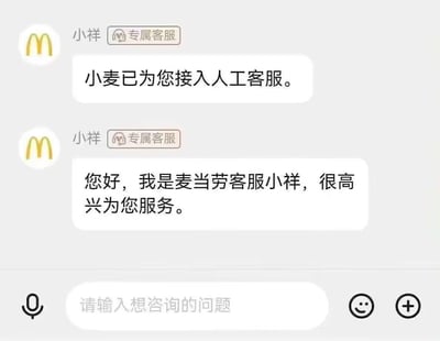 这是一张麦当劳在线客服的聊天记录截图，界面显示系统先发送消息“小麦已为您接入人工客服。”，随后麦当劳专属客服小祥发送问候语：“您好，我是麦当劳客服小祥，很高兴为您服务。”，界面底部是带有语音输入、表情和加号按钮的输入框，提示用户输入想咨询的问题，整体是客服对话的初始界面，没有双关、谐音梗或暗示类内容。