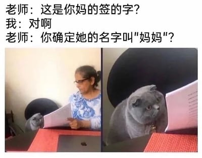 这是一张双面板搞笑 meme，左面板展示一位女性（妈妈）坐在桌前看文件，旁边有一只蓝猫；右面板是蓝猫盯着文件的特写。上方文字呈现老师与学生的对话：老师质疑学生妈妈的签名真实性，学生确认后，老师反问是否妈妈的名字真的叫'妈妈'，暗示签名可能由猫代签，充满幽默趣味，常用于调侃孩子让家长签名时的小插曲。