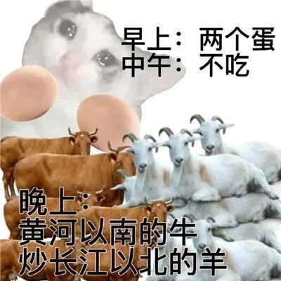 这是一张P图改编的图文混排搞笑梗图，采用顶配底文的形式呈现。上方是带有委屈悲伤表情的网络知名悲伤猫表情包，旁边搭配两个鸡蛋的图案，对应文字“早上：两个蛋；中午：不吃”，表现出减肥时白天严格节食的状态；下方是一群牛和羊的实拍图片，对应文字“晚上：黄河以南的牛 炒长江以北的羊”，用极度夸张的表述调侃减肥人群白天节食、夜晚却暴饮暴食的真实反差状态，充满诙谐感，精准戳中很多人减肥时自控力不足的痛点。