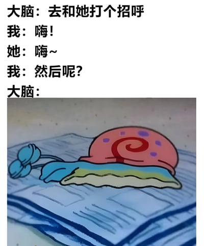 图片上半部分为黑色文字对话，内容是“大脑：去和她打个招呼”“我：嗨！”“她：嗨～”“我：然后呢？”“大脑：”，下半部分是一只卡通蜗牛趴在蓝白格子布上，身体呈现红底紫点的螺旋壳，身体为蓝、黄、白渐变色，整体静止不动。通过文字与蜗牛图像的结合，幽默地表现了人们在社交中打招呼后大脑突然空白、不知道接下来该说什么的尴尬场景。
