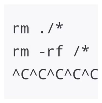 这是一张纯文字搞笑梗图，还原了程序员操作Linux系统时的经典翻车场景：用户原本想要输入`rm ./\*`命令删除当前目录下的所有文件，却不小心误输入了`rm -rf /*`，这是Linux系统中会强制删除根目录下全部文件的高危命令，一旦执行整个系统的所有文件都会被清空；发现失误后用户疯狂按下Ctrl+C试图中断命令执行，图中第三行重复的`^C`就是终端环境里Ctrl+C中断信号的显示，生动表现了用户发现误操作后慌乱抢救的心情，是程序员圈内知名的趣味梗。