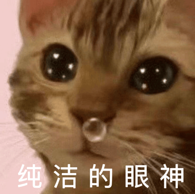 一张橘猫的脸部特写照片，猫咪有着超大的黑色闪亮眼睛，鼻子上还挂着一个小气泡，背景为柔和的粉色。图片底部配有白色文字“纯洁的眼神”，整体营造出无辜又可爱的氛围。