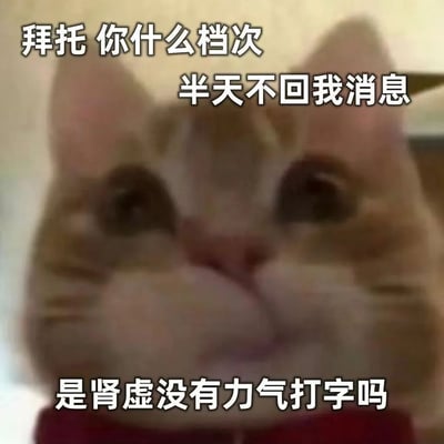 图片为一只橘猫的近距离特写，猫咪眼神向上看，表情略带不满。图片上方和下方叠加了三行白色文字：“拜托 你什么档次”“半天不回我消息”“是肾虚没有力气打字吗”，整体构成一个幽默吐槽他人不及时回复消息的表情包，语言风格调侃，常用于朋友间开玩笑表达对未回复消息的不满。