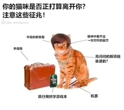 这是一张充满趣味的宠物梗图，以一只橘色虎斑猫为主体，通过P图给猫咪加上了齐刘海的“华丽新发型”和亮闪闪的大项链，猫咪眼神冷漠，看不出一丝留恋。猫咪身旁摆放着红色手提箱、旅行用拼字游戏本、机票等物品，搭配图片上方的标题以及各个元素的注解，用拟人化的搞笑方式，把猫咪偶尔的冷漠状态调侃成“准备抛弃主人出门旅行”，内容幽默诙谐，精准戳中养猫人群对猫咪“高冷”性格的调侃，适合在宠物爱好者圈子里分享。