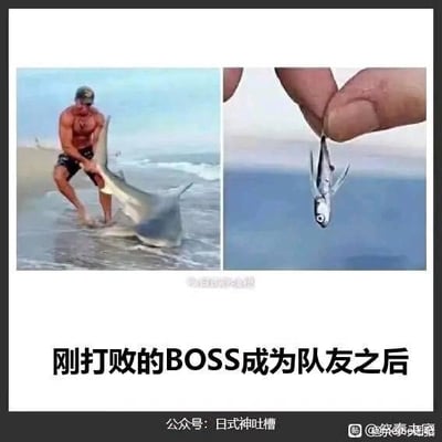 左侧画面中，一名肌肉发达的男子在海滩上奋力托举着一条体型不小的鲨鱼，神情充满力量感，仿佛刚战胜强大的对手（BOSS）；右侧画面则是一只手指捏着一条极小的鱼，鱼的体型与左侧鲨鱼形成巨大反差。下方配文“刚打败的BOSS成为队友之后”，通过左右对比的视觉幽默，调侃游戏中原本强大的BOSS在加入己方队伍后体型或实力大幅缩水的常见设定。