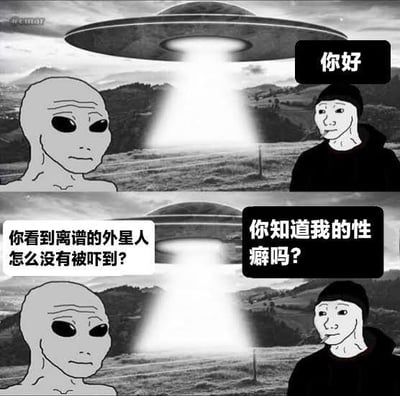 这是一张黑白风格的上下分栏搞笑梗图，背景为野外山谷，空中悬浮着一艘向下发射光束的UFO飞碟。上半部分左侧是经典外星人梗图形象，右侧是被UFO光束吸起的人类Wojak形象，人类开口向外星人问候“你好”；下半部分外星人疑惑发问“你看到离谱的外星人怎么没有被吓到？”，人类随即反问“你知道我的性癖吗？”，整体利用外星人降临的常规设定制造反差感，人类不害怕外星人反而抛出开放性的奇葩问题，形成出人意料的幽默效果。