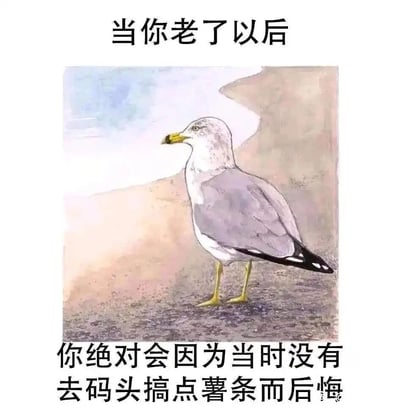这是一张图文结合的搞笑衍生梗图，上方配有文字“当你老了以后”，中间是一幅水彩风格的海鸥插画，海鸥灰白羽色、黄腿黄喙，怅惘地站立在地面上；下方配有文字“你绝对会因为当时没有去码头搞点薯条而后悔”。图片借用“去码头整点薯条”的网络迷因，将海鸥拟人化，以戏谑夸张的语气调侃人们若错过一些随性的小事，到老时会感到后悔，用荒诞的方式传递出及时享受当下、大胆做小事的趣味态度，充满生活幽默感。