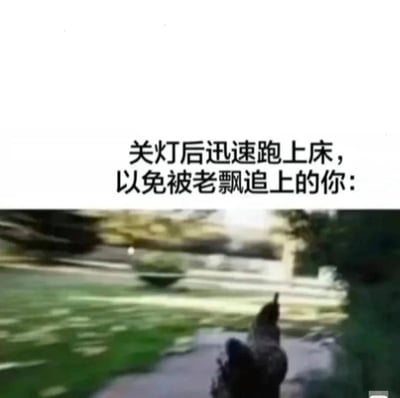 这张梗图上半部分是一段中文文字，意思是“关灯后迅速跑上床，以避免被‘老飘’追上的你”，下半部分是一张模糊跑动小鸡的照片，突出了一种飞速逃跑的紧张和搞笑氛围。这种场景常常勾起观众小时候关灯后怕黑、害怕被虚构的鬼怪或妖精追逐的记忆。

图中“老飘”属于网络用语，意指幽灵、鬼怪，也有调侃自己怕黑、胆小的自嘲意味。

整体为典型的反差对比表情包，用小鸡奔跑的形象幽默化表达恐惧、慌张心理。
