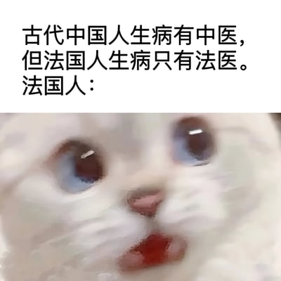 图片上半部分是文字内容：'古代中国人生病有中医，但法国人生病只有法医。法国人：'，下半部分是一张特写的白猫面部照片，猫有着大大的蓝色眼睛和微张的嘴巴，表情看起来惊讶又困惑。

这是一个双关语笑话，利用了中文发音的相似性：'中医'（中国传统医学）和'法医'（进行尸体检验的医生）在读音上形成对比，暗示法国人只有'法医'来处理疾病，制造幽默效果。