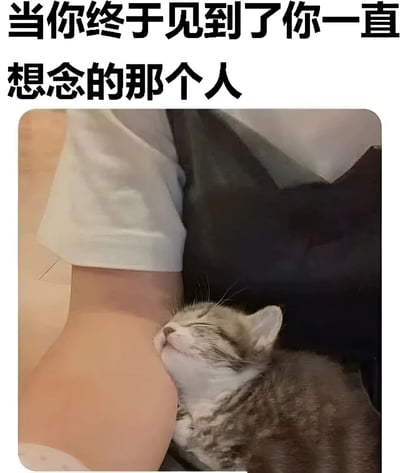 图片上方有黑色文字“当你终于见到了你一直想念的那个人”，下方是一只灰白相间的小猫正闭着眼睛，安详地依偎在一个穿着白色短袖的人的小腿上睡觉的场景。猫咪看起来非常放松和满足，整个画面传递出温馨治愈的氛围。