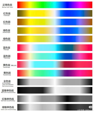 这是一张展示不同色觉类型下光谱感知差异的对比图表。图表左侧以中文+英文标注各类色觉类型名称，右侧对应展示该类型感知到的彩色光谱渐变条，共包含正常色觉、红色盲、红色弱、绿色盲、绿色弱、蓝色盲、蓝色弱、黄色盲（理论上的）、黄色弱、全色盲、蓝锥单色视、红锥单色视、绿锥单色视13种类型，直观呈现不同色觉缺陷者眼中的色彩世界。