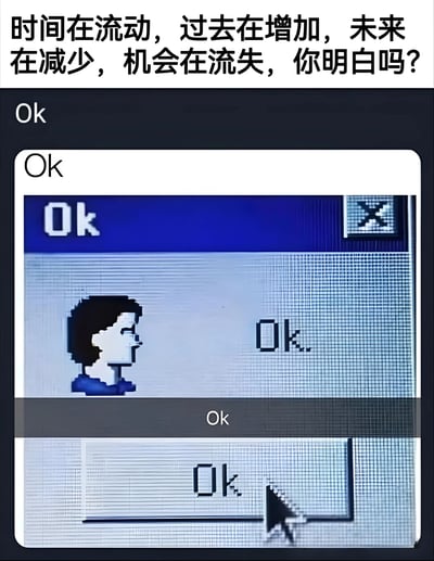 图片上方是一段富有哲理的文字："时间在流动，过去在增加，未来在减少，机会在流失，你明白吗?"，下方则是一个像素风格的电脑屏幕界面，屏幕中有一个侧视的人物形象，周围多次出现"Ok"文字，形成一种对深刻问题给出敷衍回应的幽默对比效果。