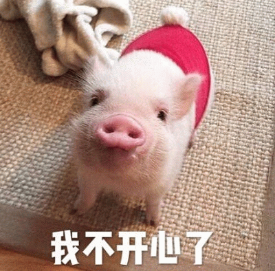戴红帽的小猪委屈说'我不开心了'