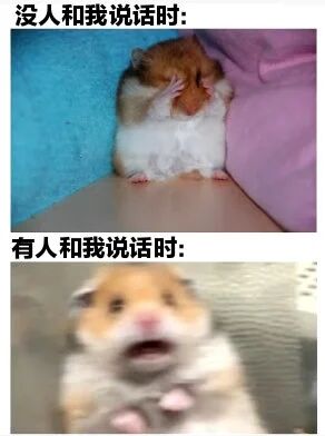 图片为上下对比结构，上方图中一只仓鼠用爪子捂住脸，配文“没人和我说话时:”，显得害羞又安静；下方图中同类型仓鼠张大嘴巴，配文“有人和我说话时:”，表情兴奋仿佛迫不及待回应。通过仓鼠的反差萌反应，幽默展现了人们在独处与社交时的状态切换。