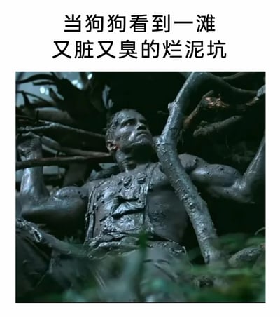 这是一张趣味梗图，上方配有文字“当狗狗看到一滩又脏又臭的烂泥坑”，下方是截取的影视画面：画面中阿诺德·施瓦辛格饰演的角色浑身沾满泥浆，身处交错的树枝之间，整个人被泥浆完全覆盖，仿佛刚在泥中尽情翻滚过。这张图用这个夸张的影视场景，生动调侃了狗狗的天性——看到泥坑就会兴奋地跳进去打滚，把自己弄得满身泥泞，将狗狗的状态用极具视觉冲击力的画面呈现出来，充满诙谐感。