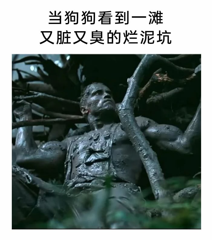 终结者系列电影
