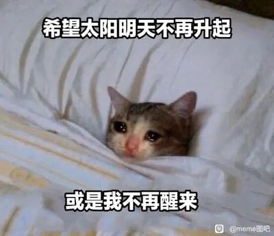 这是一张文字加注类的静态单图表情包，画面主体是一只裹在白色被子里的小猫，它眼眶泛红，眼神委屈低落，神情满是沮丧难过，仅露出的脑袋显得十分无助。图片上方和下方分别配有文字“希望太阳明天不再升起”和“或是我不再醒来”，用夸张的丧系表述，传递出极度不想面对第二天、情绪低落崩溃的心情，精准戳中当代人在面对生活、工作压力时想要逃避的负面情绪，很容易引发群体共鸣，适合用于网络社交中宣泄自身的低落情绪。