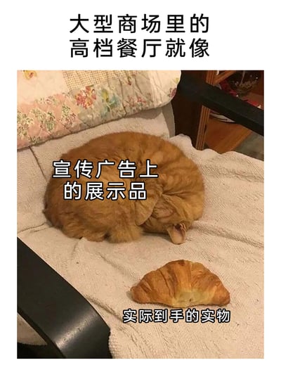 这是一张趣味吐槽类梗图，通过图文结合的方式调侃大型商场高档餐厅的宣传与实物不符的现象。图中上方配有文字“大型商场里的高档餐厅就像”，中间将蜷缩成圆球状的橘猫标注为“宣传广告上的展示品”，下方的小型可颂面包被标注为“实际到手的实物”，利用橘猫的庞大体积和可颂的小巧形成强烈对比，幽默地戳中消费者对这类餐厅“宣传光鲜、实际分量不足”的不满与吐槽，用生活化的场景引发共鸣。