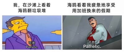 这是一张左右对比的多图拼接梗图，属于文字加注的动画截图二次创作。左侧是美国动画《辛普森一家》中的角色，上方配文“我，在沙滩上看着海鸥翻垃圾堆”，角色下方配有文字“可悲 Pathetic.”，角色露出鄙夷嫌弃的表情；右侧是美国动画《无敌少侠》中的角色全能人，上方配文“海鸥看着我疲惫地享受用加班换来的假期”，角色下方同样配有“可悲 Pathetic.”，角色双臂交叉抱于胸前，表情愤怒又鄙夷。这张图以双向视角的自嘲，精准戳中当代打工人的痛点：用辛苦加班换来的假期质量低下，本人也处于疲惫状态，无论是自己看海鸥还是海鸥看自己，都是充满无奈的“可悲”处境，通过两个动画角色的负面评价强化了这种自嘲的情绪。