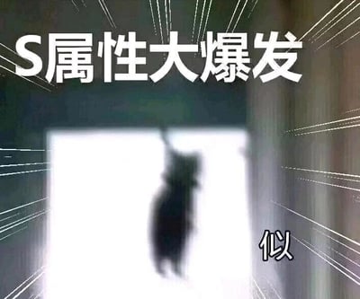 这是一张单幅静态文字加注梗图，画面主体是一只因快速移动而变得模糊的黑色猫咪黑影，正朝着画面尽头的明亮区域全力冲刺，画面四周添加了放射状的白色速度线，强化了冲刺的动感与紧迫感。图片顶部配有醒目的白色加粗文字“S属性大爆发”，右下角则有小字“似”，这里运用了谐音梗，“似”谐音“死”，进一步夸张了猫咪冲刺时的决绝感，整体将网络流行梗与猫咪的动态结合，营造出一种戏谑又亢奋的氛围，用来形容人或事物突然进入强势、高能的爆发状态，适合在社交场景中调侃、表达亢奋情绪或者自嘲。