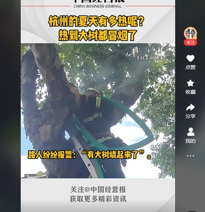 这是一张新闻风格的社交媒体截图，内容围绕杭州夏季极端高温展开。画面主体为一名消防员站在绿色梯子上，正在处理一棵冒烟的大树，树周围有明显烟雾升腾。图片上方配有醒目的黄色标题文字“杭州的夏天有多热呢？热到大树都冒烟了”，下方文字标注“路人纷纷报警：‘有大树烧起来了’”，生动展现了因高温导致大树出现异常冒烟现象及路人的反应。图片左上角有“中国经营报”的标识，右侧则有社交媒体平台常见的点赞、收藏、分享等互动按钮，整体呈现出新闻资讯与社交传播结合的特点。