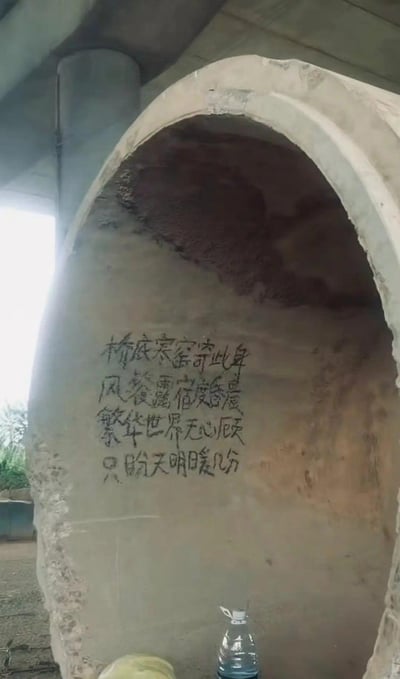 这是一张拍摄于桥下水泥涵洞内的照片，洞壁上手写着一首打油诗：“桥底寒客寄此身，风餐露宿度昏晨，繁华世界无心顾，只盼天明暖几分”，直白地倾诉了栖身于此的流浪者的困苦处境——风餐露宿、日夜漂泊，对外界的繁华毫无留恋，唯一的期盼只是天亮后能多几分暖意。涵洞内还放置着一个塑料饮用水瓶，背景可见桥柱与洞外的绿植，整体画面透着浓浓的无奈与凄苦，让人窥见底层生存的艰辛。