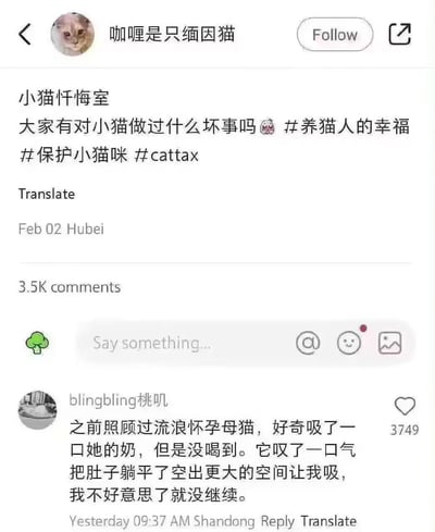 这是一张社交平台的帖子截图，发帖用户头像是缅因猫，昵称“咖喱是只缅因猫”，发起了“小猫忏悔室”相关讨论，提问网友是否有对小猫做过不好的事，附带了#养猫人的幸福、#保护小猫咪、#cattax三个话题标签，该帖发布于2月2日，定位湖北，累计收到3500条评论。评论区高赞回复来自用户“blingbling桃叽”，内容为其此前照顾流浪怀孕母猫时，出于好奇尝试吸猫的奶没有成功，母猫反而主动叹气躺平，把肚子空出更大的位置给她吸，她感到不好意思便没有继续，这条评论收获了3749个点赞，内容既搞笑又温暖。