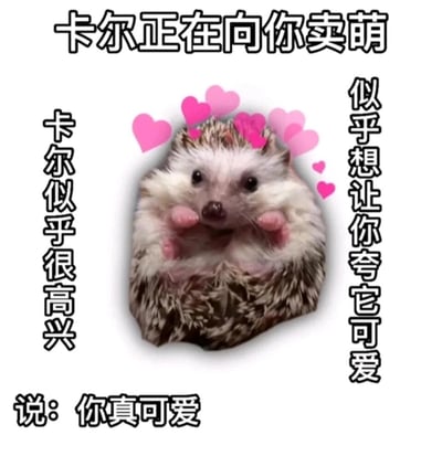 这是一张趣味互动类萌宠表情包，主体是名为卡尔的宠物刺猬，它以双手贴在脸颊旁的姿势呈现，眼神软萌无辜，周围点缀着粉色爱心，营造出可爱的卖萌氛围。图片四周配有引导性文字：顶部“卡尔正在向你卖萌”，左侧“卡尔似乎很高兴”，右侧“似乎想让你夸它可爱”，底部“说：你真可爱”，整体设计引导观看者对卡尔进行夸赞，传递出温馨软萌的情绪，适合在社交聊天中用来活跃氛围、表达喜爱。