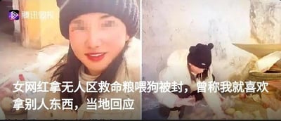 图片为左右对比的新闻截图，左侧是一位戴黑色帽子、穿白色外套的女性面部特写（面部关键信息已打码），面带微笑；右侧是该女性在简陋环境中弯腰喂狗的场景，周围有土豆等物品。图片下方配有文字说明事件：“女网红拿无人区救命粮喂狗被封，曾称我就喜欢拿别人东西，当地回应”。