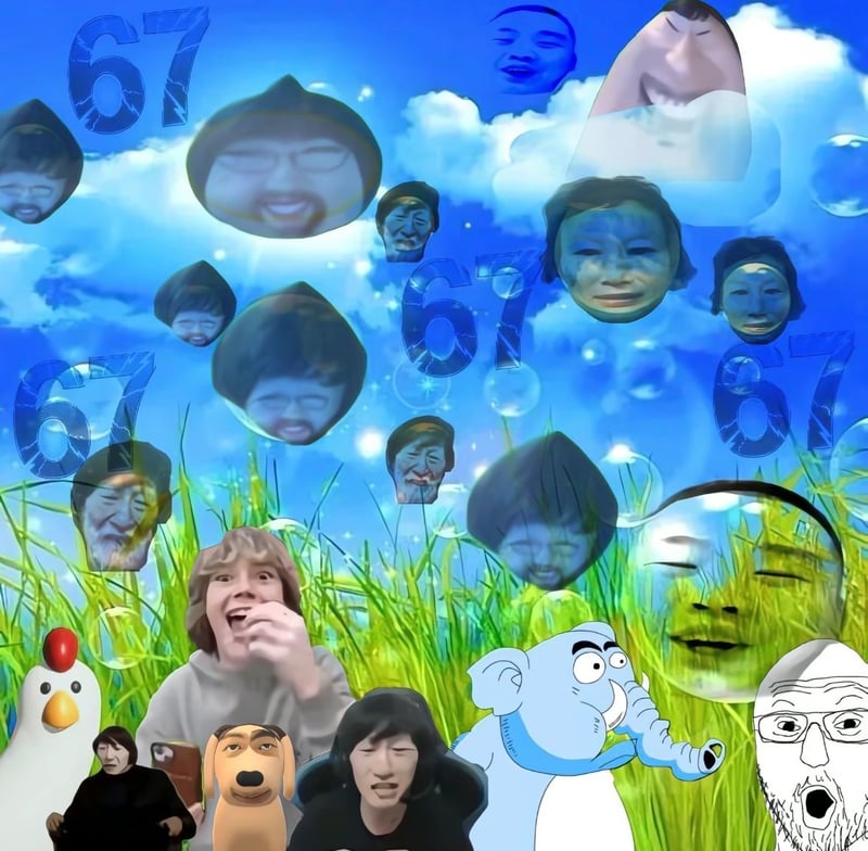 全球网络迷因