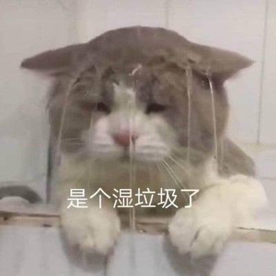 一只灰白相间的猫被水淋湿，头上和脸上有水滴滴落，表情悲伤地趴在台面上。图片下方配有文字“是个湿垃圾了”，利用“湿垃圾”这一垃圾分类术语制造幽默效果，暗示自己现在是“湿的垃圾”。