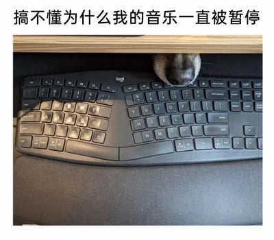 这是一张充满趣味的实拍图片，图片上方配有文字“搞不懂为什么我的音乐一直被暂停”，画面主体是一个黑色的罗技（logi）人体工学键盘，放置在桌面的手托垫上。在键盘上方的桌板缝隙中，探出了一个小动物的鼻子和部分脸部，这个位置恰好对应键盘上的播放/暂停按键区域，谜底就此揭开——正是这个调皮的小家伙一直在误触键盘的暂停键，才导致音乐反复暂停。图片用生活化的小意外制造出搞笑的反差感，让看到的人瞬间明白“音乐暂停”的原因，充满了生活的趣味性。
