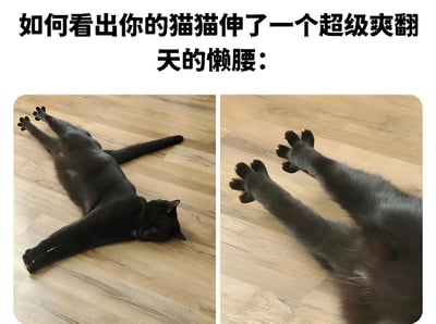 这是一张左右对比的图文混排静态图，上方配有文字“如何看出你的猫猫伸了一个超级爽翻天的懒腰：”。左侧图片中，一只黑猫四肢伸展平躺于浅色木地板上，双眼紧闭，身体完全舒展开来；右侧图片为特写镜头，聚焦于黑猫向上伸展的前爪，爪子张开，展现出极度放松的状态。整体通过对比展现猫咪在进行“超级爽翻天”懒腰时的典型姿态，风格轻松可爱，充满生活气息。