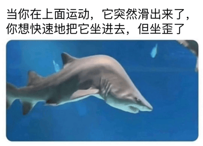 图片上方有一段引人遐想的中文文字："当你在上面运动，它突然滑出来了，你想快速地把它坐进去，但坐歪了"。下方是一张鲨鱼在蓝色水族馆中游泳的照片，鲨鱼表情严肃，与上方文字形成幽默反差。这种将日常尴尬情境与鲨鱼图像结合的方式，创造出一种荒诞搞笑的效果。