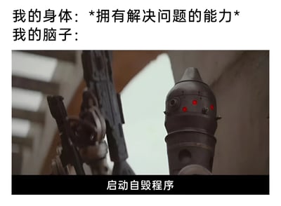 这张梗图通过上下文字与中间的机器人截图形成幽默对比。上方文字写着“我的身体：*拥有解决问题的能力* 我的脑子：”，下方文字为“启动自毁程序”，中间是一个带有红色眼睛、手持武器的机器人，形象地表达了身体具备解决问题的能力但大脑却做出极端“摆烂”反应的搞笑场景，展现了一种反差萌的幽默效果。