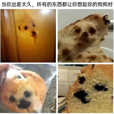 这是一张四格拼贴梗图，展现了出差太久思念狗狗的人产生的有趣错觉。左上为木门纹理中的结疤，因光影和形状酷似狗狗睁大的眼睛与突出的鼻子；右上是一块被掰开的食物（疑似面包或蛋糕），内部组织的凹陷和深色斑点形成了狗狗耷拉着脸的模样；左下是一只被塑料袋包裹的圆形糕点，表面的深色印记恰好构成了狗狗的“豆豆眼”和小鼻子；右下为蓝莓蛋糕切片，两颗蓝莓与中间的深色区域组合成狗狗凝视的面部轮廓。整体通过日常生活中随机物品的视觉巧合，幽默呈现“思念成疾”时看啥都像自家狗的可爱状态。