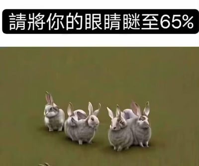 这是一张趣味视觉错觉梗图，图上方配有文字“请将你的眼睛眯至65%”，画面中展示了几只蹲坐的灰色兔子。这些兔子的身体与相邻兔子的耳朵形成了巧妙的视觉重叠，当按照提示眯起眼睛时，会产生这些兔子长有多只耳朵的错觉，通过视觉效果制造出新奇有趣的体验，适合作为社交平台的趣味互动内容。